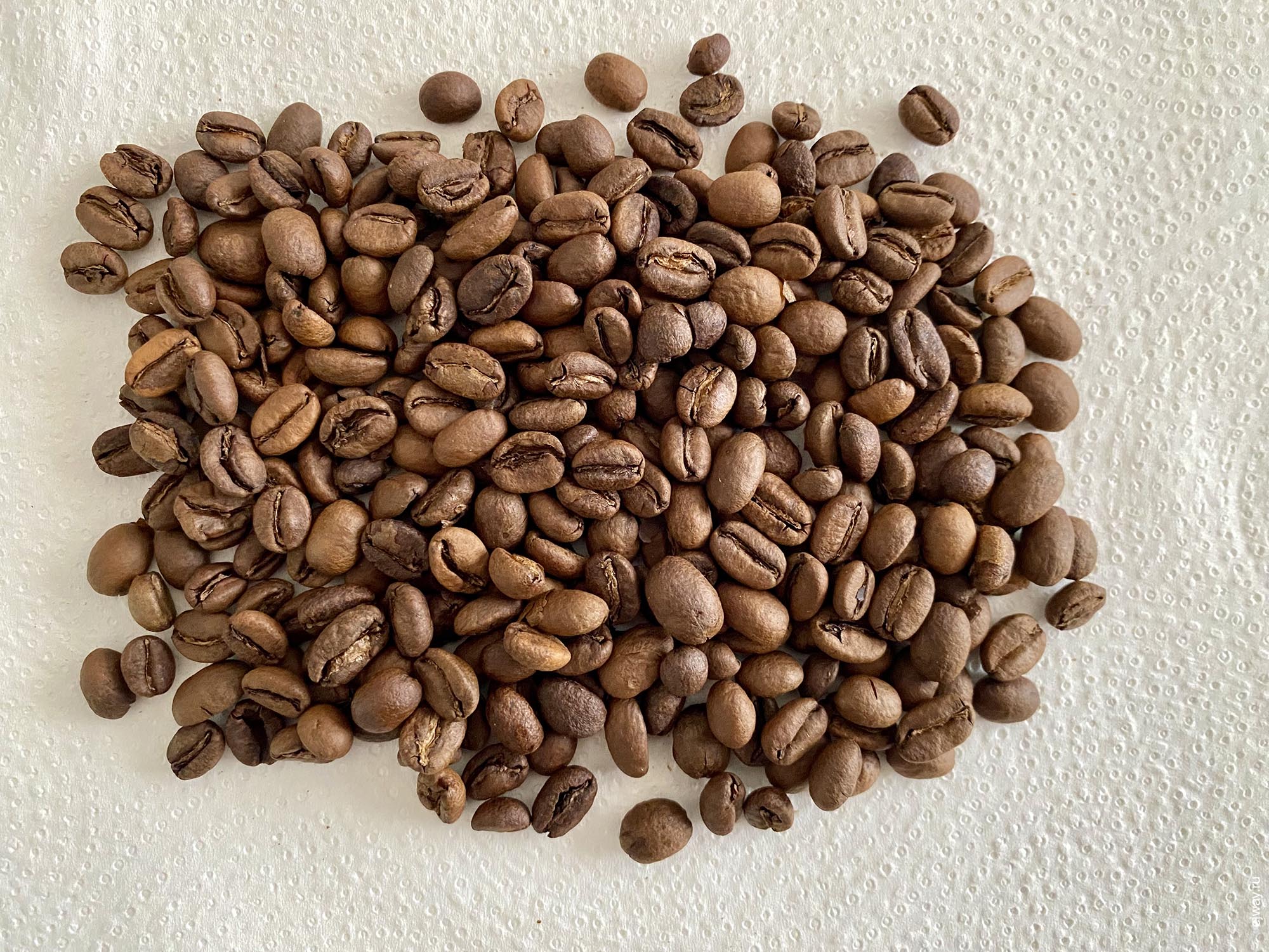 Испания, Пальма, Ethiopia. Sidama. Noti coffee roasters, зерна
