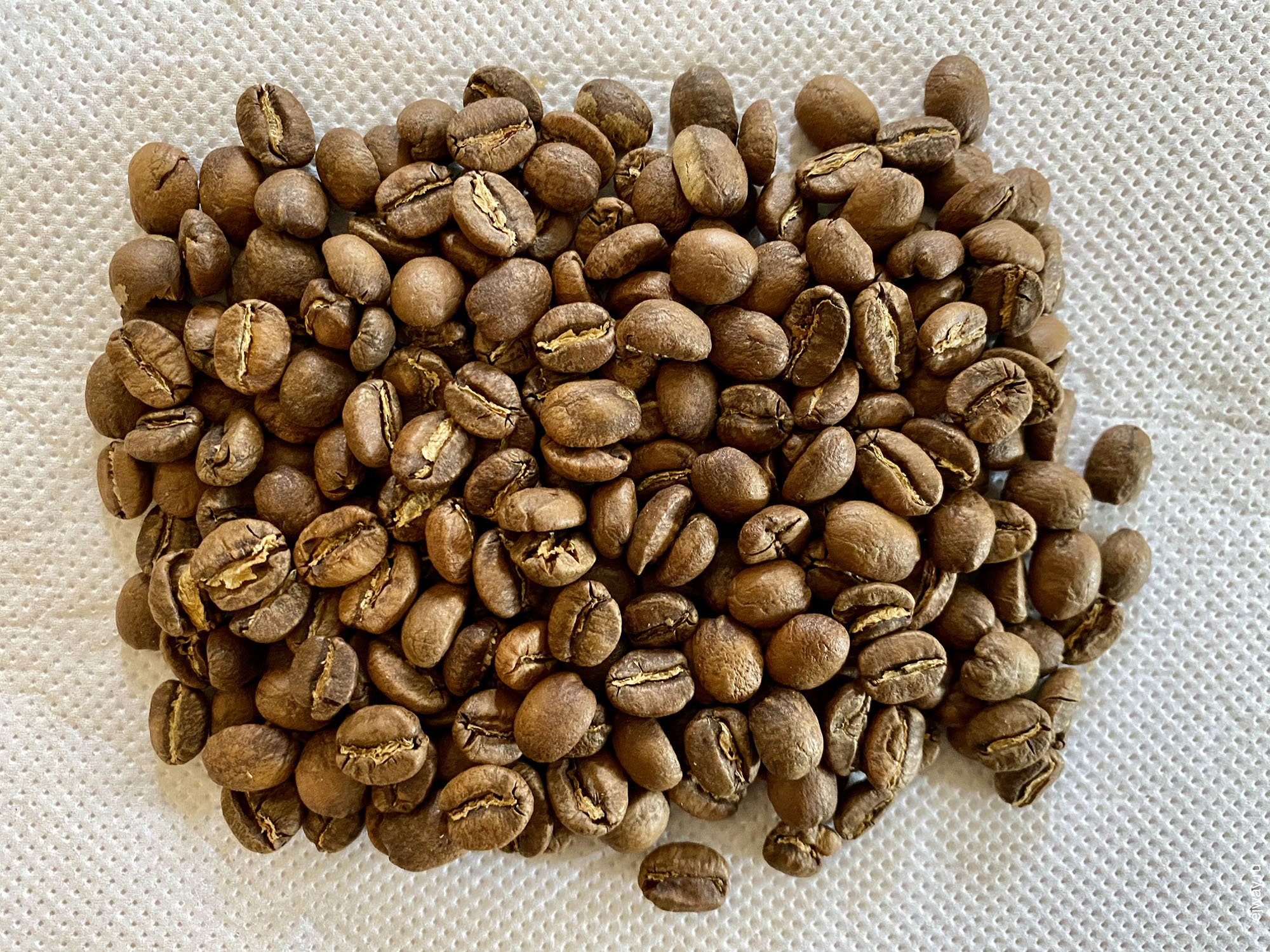 Испания, Малага, кофе, Kenia. Kanguruami AA. Ineffable Coffee Roasters, ejway.ru, зерна