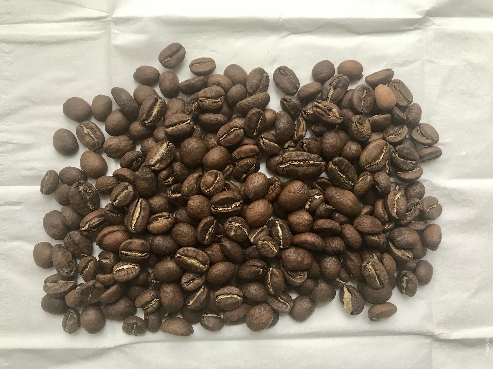 Россия, Мурманск, Surf Coffee. Ethiopia Acacia, ejway.ru, зерна