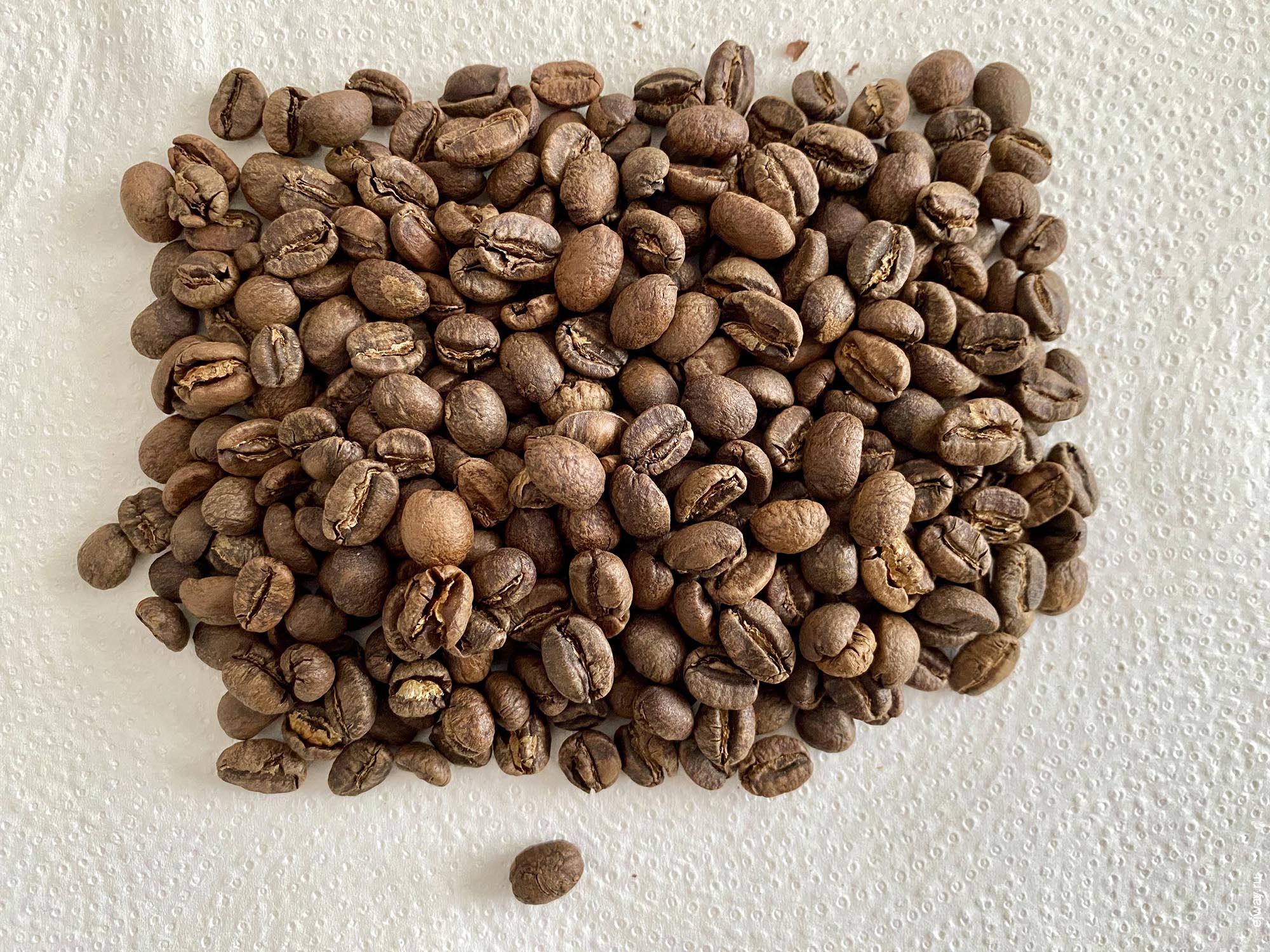 Португалия, Лиссабон, Kenya. Kiambu. Coffee in Brew, зерна