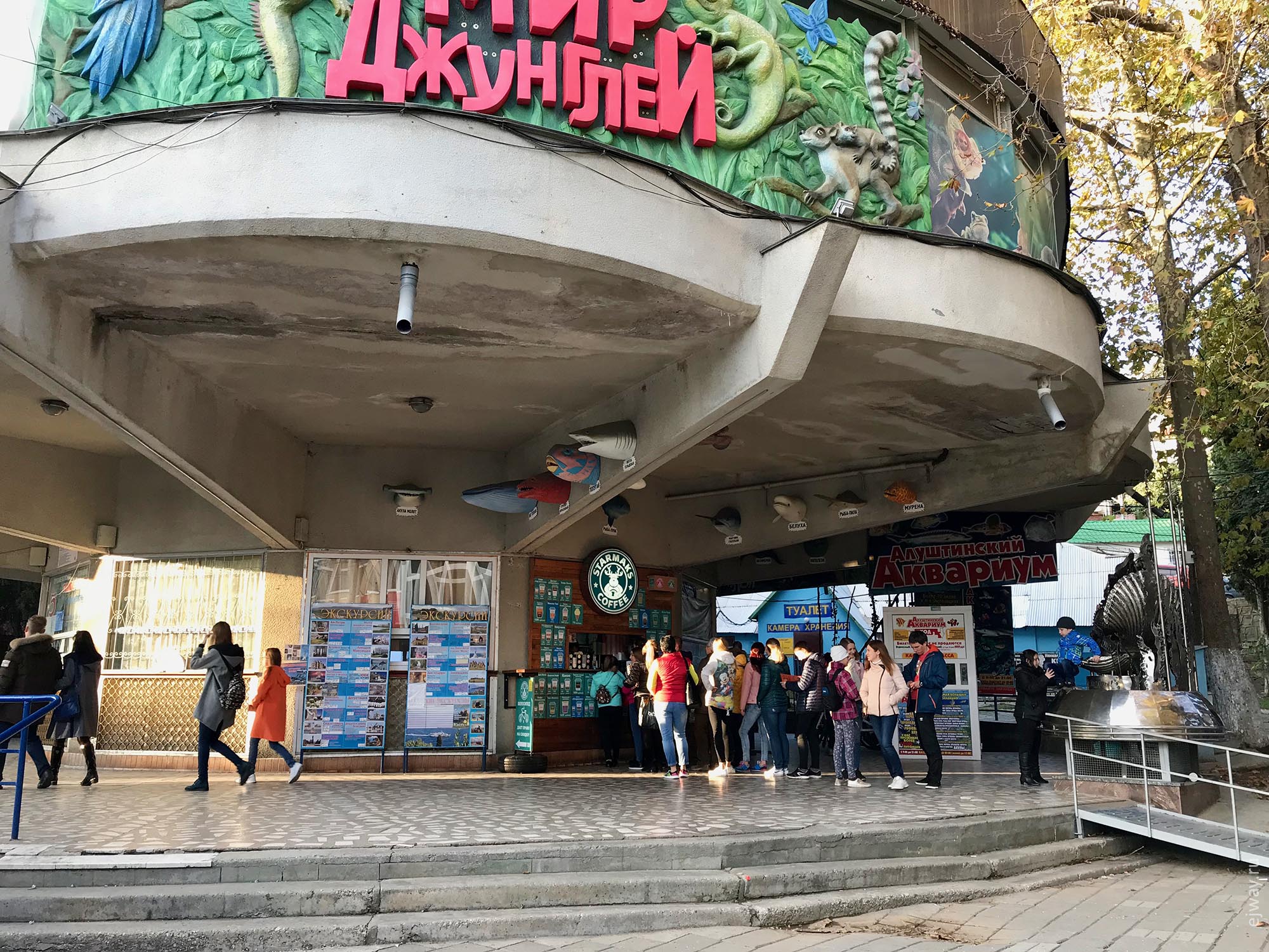 Алушта, центр города, ejway.ru, бренд, подделка