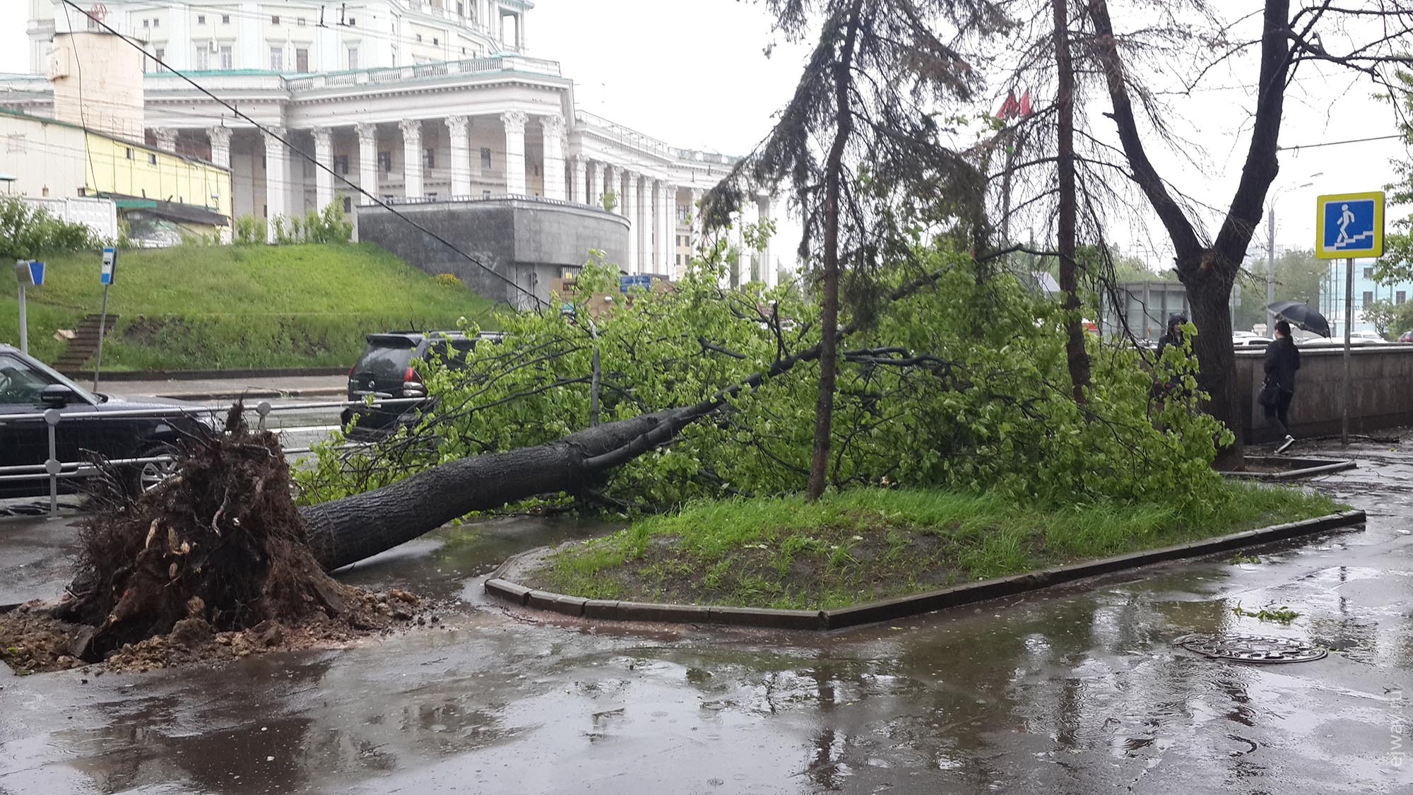 Москва ураган 29 мая 2017 ejway.ru