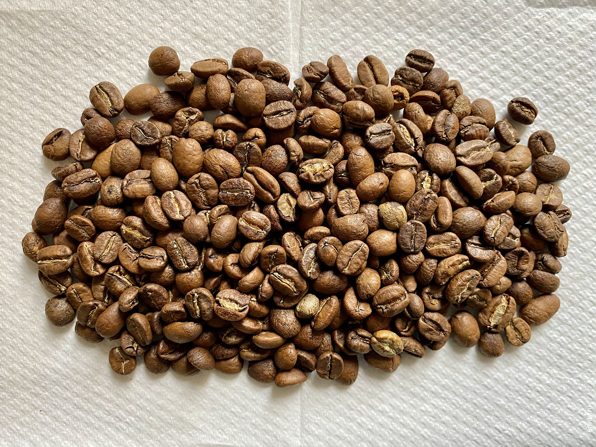 Испания, Малага, кофе, Ivan Solis. Costa Rica. Ineffable Coffee Roasters, ejway.ru, зерна