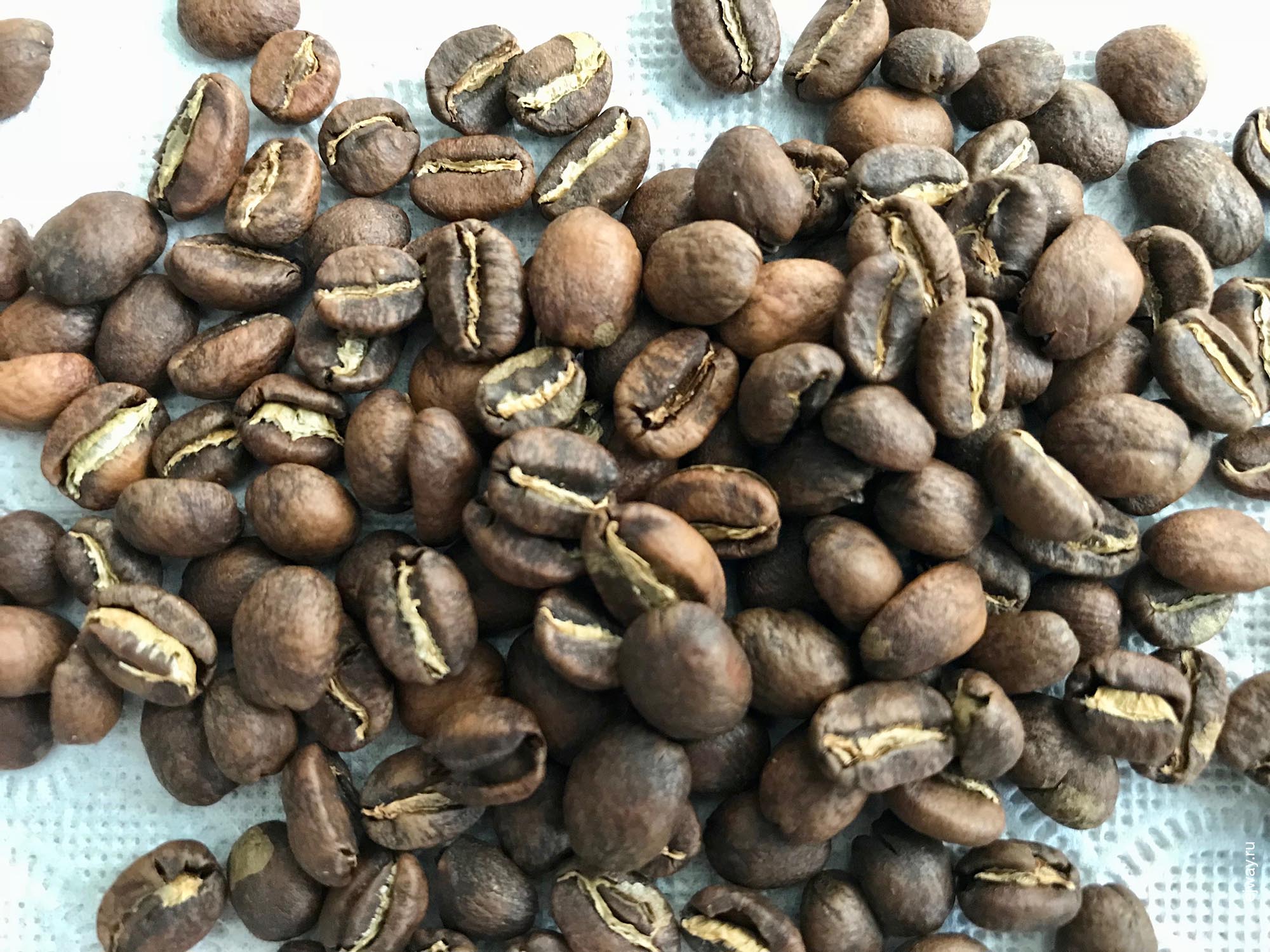 Грузия, Тбилиси, Coffee lab. Conga, ejway.ru, зерна