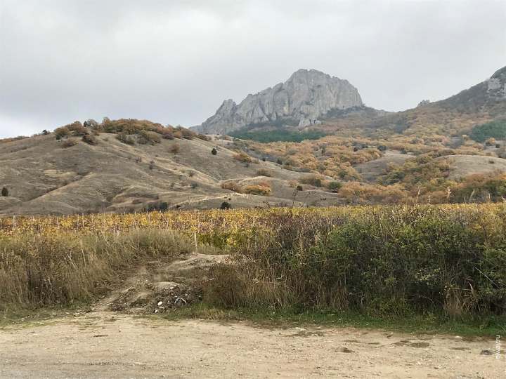 Карадагский заповедник Карадагский заповедник