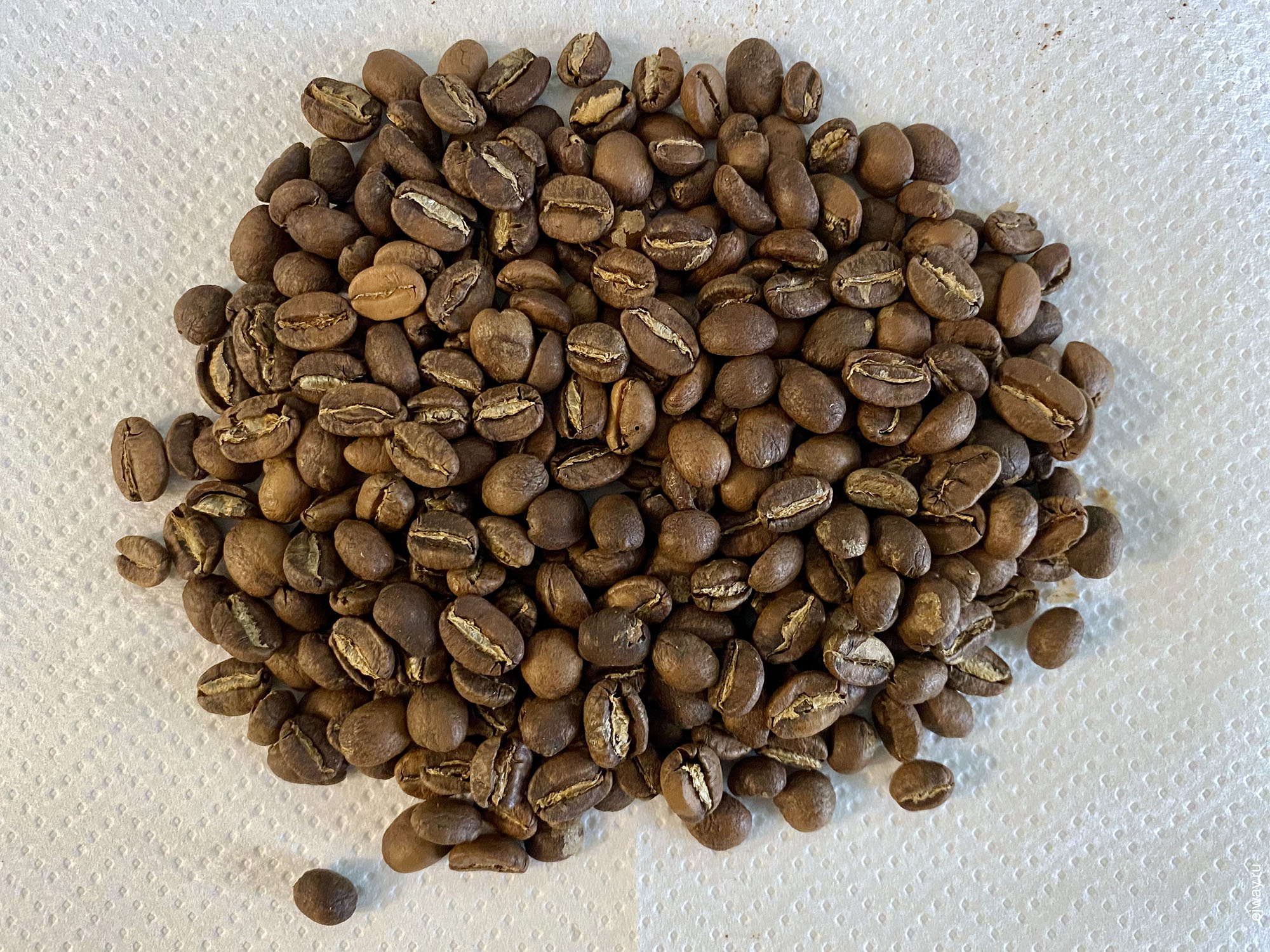 Черногория, Тиват, кофе, ejway.ru, Ethiopia. Yrgacheffe. Kafeterija, зерна