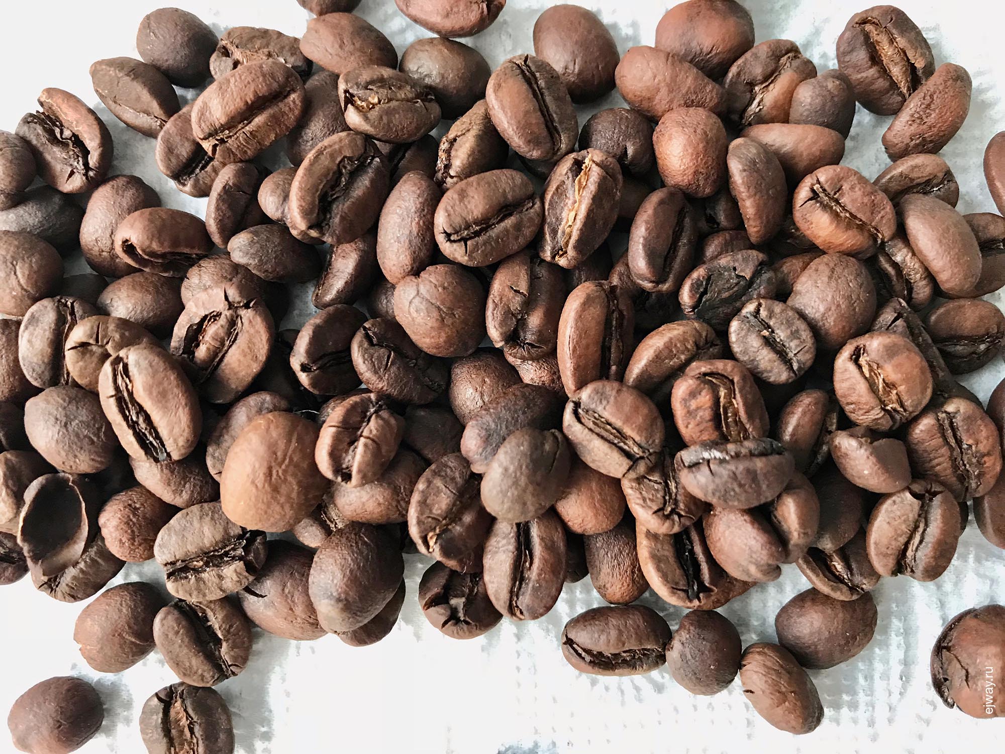 Россия, Тбилиси, Coffee lab. La Bolsa, ejway.ru, зерна