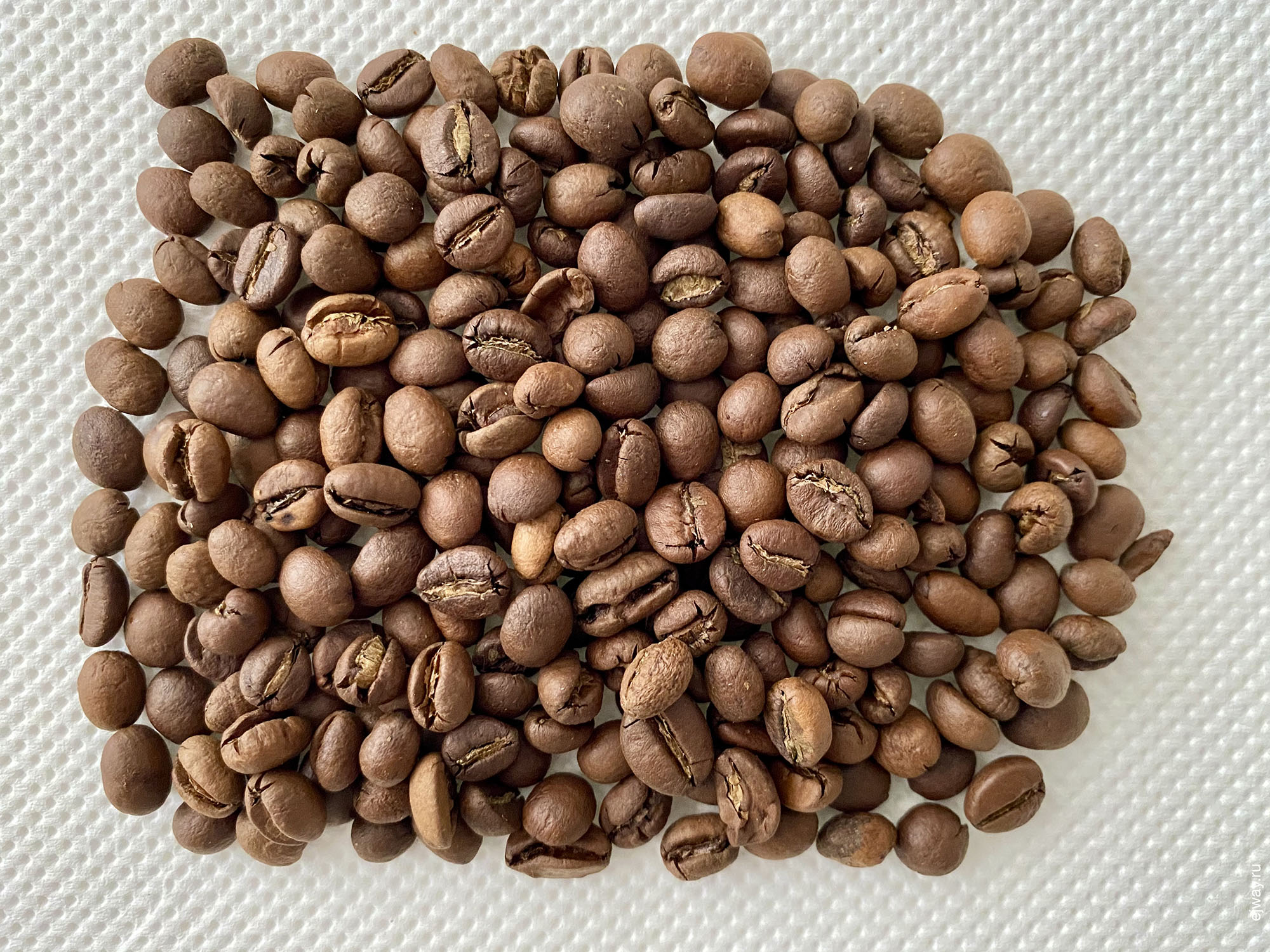 Черногория, Тиват, кофе, Latino blend. Peaberry washed, Kafeterija, ejway.ru, зерна